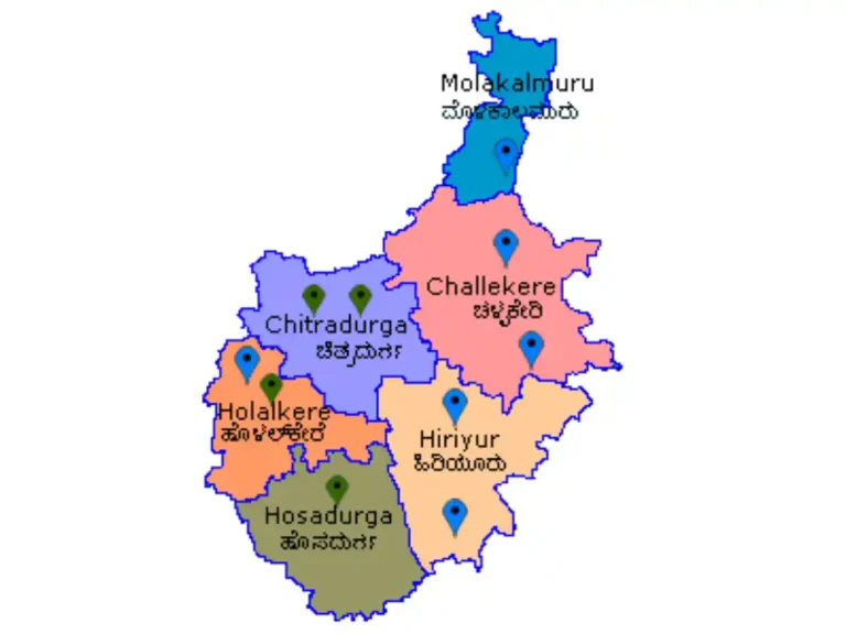ಚಿತ್ರದುರ್ಗ ವಿಧಾನಸಭಾ ಕ್ಷೇತ್ರ: 2.68 ಲಕ್ಷಕ್ಕೂ ಅಧಿಕ ಮತದಾರರ ಗಣತಿ ನಮೂನೆ ವಿತರಣೆ