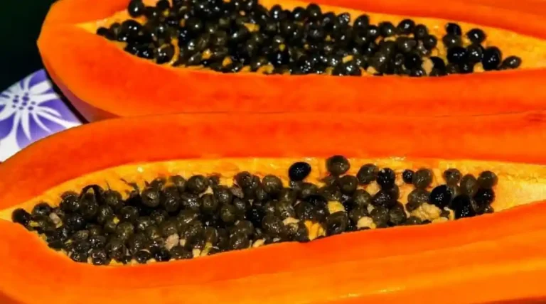 ರಾತ್ರಿ ಪಪ್ಪಾಯಿ ತಿನ್ನುವುದರಿಂದಾಗುವ ಪ್ರಯೋಜನಗಳು