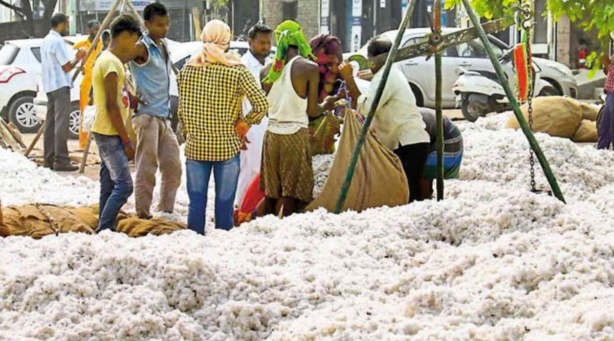 ಚಿತ್ರದುರ್ಗ ಹತ್ತಿ ಮಾರುಕಟ್ಟೆ