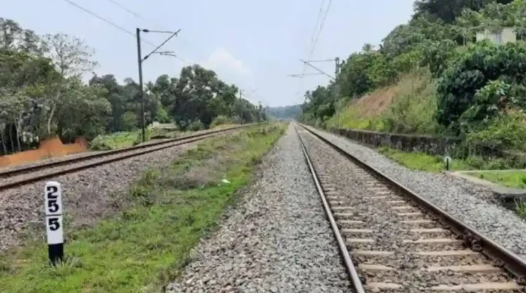 ರೈಲ್ವೆ ಹಳಿಗಳಿಗೆ ಯಾಕೆ ತುಕ್ಕು ಹಿಡಿಯುವುದಿಲ್ಲ? ಇದರ ಹಿಂದಿದೆ ಕುತೂಹಲಕಾರಿ ವಿಜ್ಞಾನ!