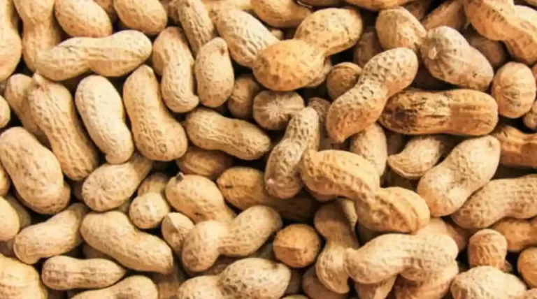 ಚಿತ್ರದುರ್ಗ APMC | ಏಪ್ರಿಲ್ 08 ಮಾರುಕಟ್ಟೆ ಧಾರಣೆ ವಿವಿರ ಇಲ್ಲಿದೆ…!