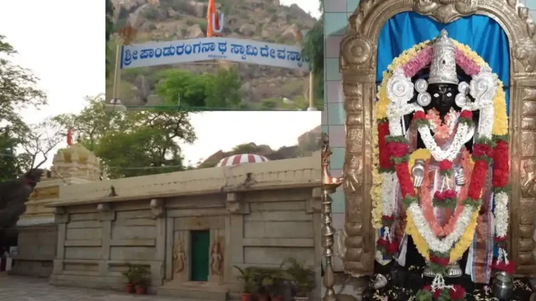 ನಮ್ಮ ಊರು ನಮ್ಮ ಹೆಮ್ಮೆ | ಚಿತ್ರದುರ್ಗ : ಪಂಡರಹಳ್ಳಿ ಬೆಟ್ಟದ ಪರಿಚಯ