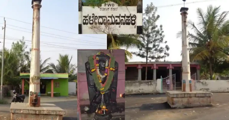 ನಮ್ಮ ಊರು ನಮ್ಮ ಹೆಮ್ಮೆ | ಚಿತ್ರದುರ್ಗದ ಹಳೇದ್ಯಾಮವ್ವನಹಳ್ಳಿ ಗ್ರಾಮ ದರ್ಶನ