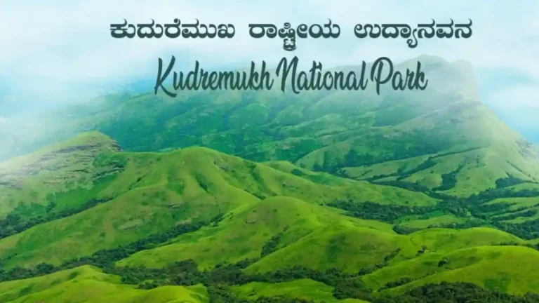 ಕುದುರೆಮುಖದ ಹೆಸರೇ ವಿಚಿತ್ರ! ಇಲ್ಲಿದೆ ಇತಿಹಾಸ ಮತ್ತು ವಿಶೇಷತೆಗಳ ಪರಿಚಯ