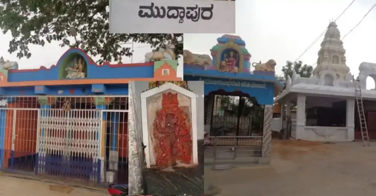 ನಮ್ಮ ಊರು ನಮ್ಮ ಹೆಮ್ಮೆ | ಚಿತ್ರದುರ್ಗ ತಾಲೂಕಿನ ಮುದ್ದಾಪುರ ಗ್ರಾಮದ ಪರಿಚಯ