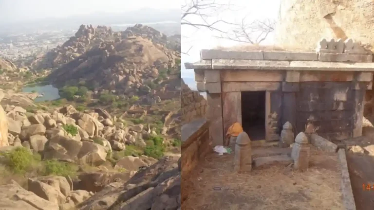 ನಮ್ಮ ಊರು ನಮ್ಮ ಹೆಮ್ಮೆ | ಚಿತ್ರದುರ್ಗದ ನೆಲ್ಲಿಕಾಯಿ ಸಿದ್ಧಪ್ಪನ ಬೆಟ್ಟ