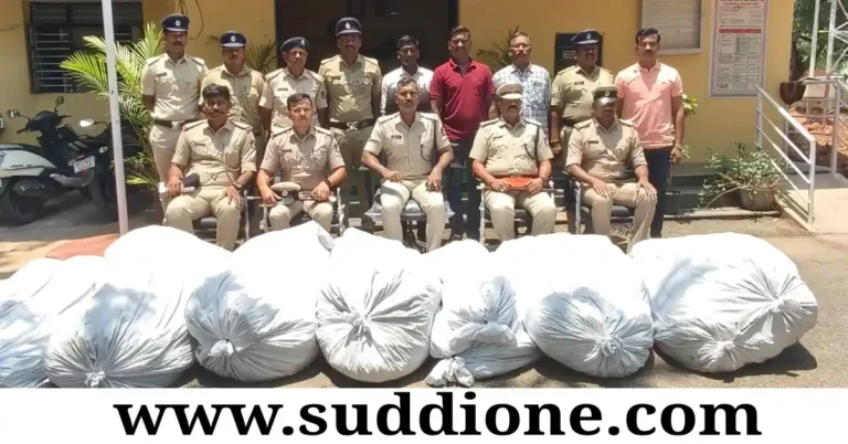 ಚಳ್ಳಕೆರೆ | ಜಮೀನಿನಲ್ಲಿ ಅಕ್ರಮ ಗಾಂಜಾ ಬೆಳೆ : ಓರ್ವನ ಬಂಧನ