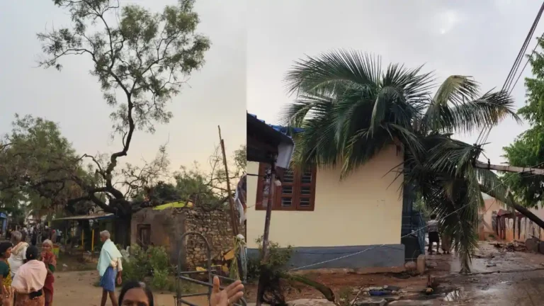 ಚಳ್ಳಕೆರೆ | ಬಿರುಗಾಳಿ ಮಳೆಗೆ ನೆಲಕ್ಕುರುಳಿದ ಮರಗಳು ಹಾಗೂ ವಿದ್ಯುತ್ ಕಂಬಗಳು