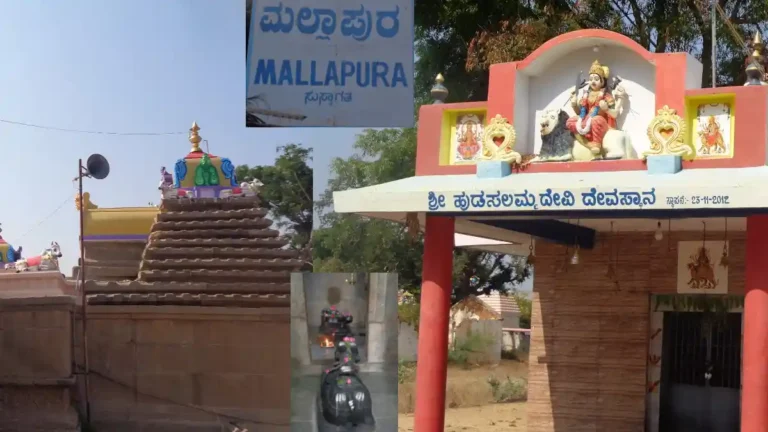ನಮ್ಮ ಊರು ನಮ್ಮ ಹೆಮ್ಮೆ | ಚಿತ್ರದುರ್ಗದ ಮಲ್ಲಾಪುರ ಗ್ರಾಮದ ಪರಿಚಯ