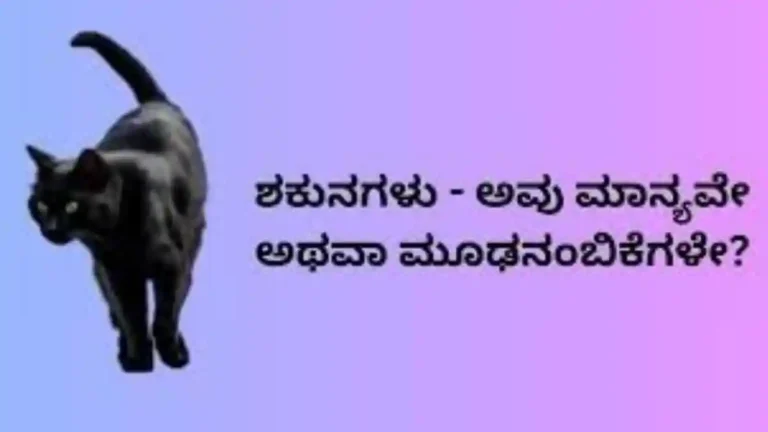 ಶಕುನಗಳು ಎಂದರೇನು? ಸಂಪ್ರದಾಯ, ನಂಬಿಕೆ ಏನು ಹೇಳುತ್ತದೆ