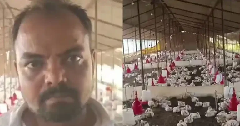 ಡಿಜೆ ಸದ್ದಿಗೆ ಬೆದರಿ 140 ಕೋಳಿಗಳ ಸಾವು: ಶಬ್ದ ಮಾಲಿನ್ಯದ ಭೀಕರ ಪರಿಣಾಮ?
