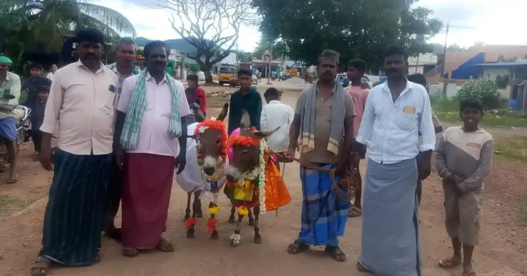 ಹೊಳಲ್ಕೆರೆ | ಬಾರದ ಮಳೆ ; ಕತ್ತೆಗಳ ಮೆರವಣಿಗೆ