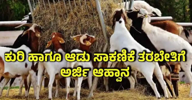 ಜೂನ್ 29 ಮತ್ತು 30ರಂದು ಕುರಿ ಮತ್ತು ಮೇಕೆ ಸಾಕಾಣಿಕೆ ತರಬೇತಿ