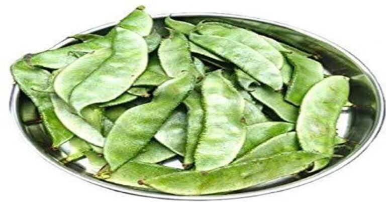 ನಿಮ್ಮ ಆಹಾರದಲ್ಲಿ ಈ ತರಕಾರಿ ಬಳಸಿದರೆ ಸಿಗಲಿದೆ ಅದ್ಭುತ ಆರೋಗ್ಯ ಪ್ರಯೋಜನಗಳು