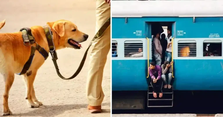 ರೈಲಿನಲ್ಲಿ ನಾಯಿ-ಬೆಕ್ಕು ಕರೆದುಕೊಂಡು ಹೋಗಬೇಕೇ? ಭಾರತೀಯ ರೈಲ್ವೆಯಿಂದ ಹೊಸ ಸೌಲಭ್ಯ
