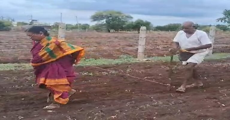 ಬೀದರ್ : ಎತ್ತು, ಟ್ರ್ಯಾಕ್ಟರ್ ಗೆ ಬಾಡಿಗೆಗೆ ಹಣವಿಲ್ಲದೇ ಬಿತ್ತನೆ ಕೂರಿಗೆಯನ್ನು ತಾವೇ ಎಳೆದ ವೃದ್ಧ ದಂಪತಿ