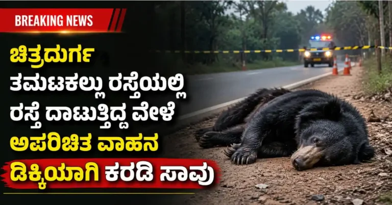 ಚಿತ್ರದುರ್ಗ : ತಮಟಕಲ್ಲು ರಸ್ತೆಯಲ್ಲಿ ರಸ್ತೆ ದಾಟುತ್ತಿದ್ದ ವೇಳೆ ಅಪರಿಚಿತ ವಾಹನ ಡಿಕ್ಕಿಯಾಗಿ ಕರಡಿ ಸಾವು