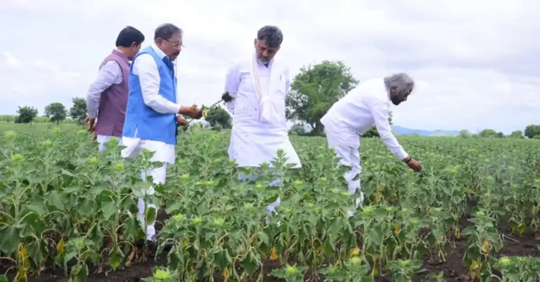 ಚಿತ್ರದುರ್ಗ : ವದ್ದೀಕೆರೆಯಲ್ಲಿ ಬರ ಪರಿಶೀಲನೆ ನಡೆಸಿದ ಸಿಎಂ ಡಿ.ಕೆ. ಶಿವಕುಮಾರ್