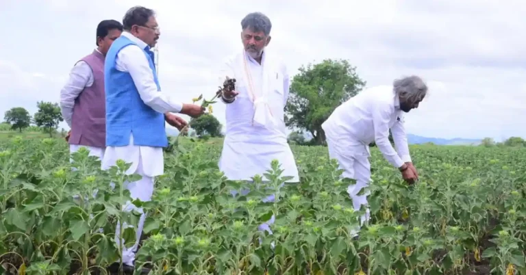 ಹಿರಿಯೂರು ತಾಲೂಕಿನ ಬರಪೀಡಿತ ಪ್ರದೇಶಗಳಿಗೆ ಮುಖ್ಯಮಂತ್ರಿ ಭೇಟಿ, ಬೆಳೆ ಹಾನಿ ಪರಿಶೀಲನೆ