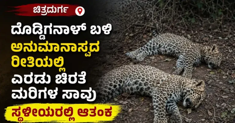 ಚಿತ್ರದುರ್ಗ: ದೊಡ್ಡಿಗನಾಳ್ ಬಳಿ ಅನುಮಾನಾಸ್ಪದ ರೀತಿಯಲ್ಲಿ ಎರಡು ಚಿರತೆ ಮರಿಗಳ ಸಾವು: ಸ್ಥಳೀಯರಲ್ಲಿ ಆತಂಕ