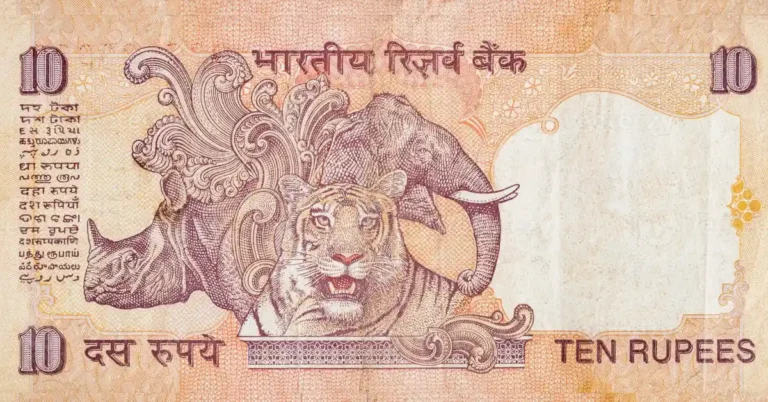 ಹಳೆಯ ₹10 ನೋಟಿನ ಹಿಂದೆ ಆನೆ, ಜಿಂಕೆ, ಖಡ್ಗಮೃಗದ ಚಿತ್ರ ಯಾಕೆ? ಇದರ ಹಿಂದಿದೆ ವಿಶೇಷ ಕಾರಣ!