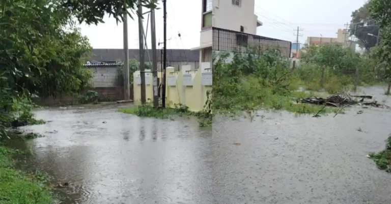 ಚಿತ್ರದುರ್ಗ: ಸಣ್ಣ ಮಳೆಗೂ ಕೆರೆಯಂತಾಗುವ ರಸ್ತೆಗಳು; ಸ್ಥಳೀಯರ ಪರದಾಟ!