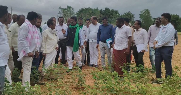 ಚಳ್ಳಕೆರೆ ಬರ ಪೀಡಿತ ಪ್ರದೇಶಗಳಿಗೆ ಸಚಿವ ಟಿ.ರಘುಮೂರ್ತಿ ಭೇಟಿ: ನಷ್ಟಕ್ಕೊಳಗಾದ ರೈತರಿಗೆ ಸೂಕ್ತ ಪರಿಹಾರದ ಭರವಸೆ