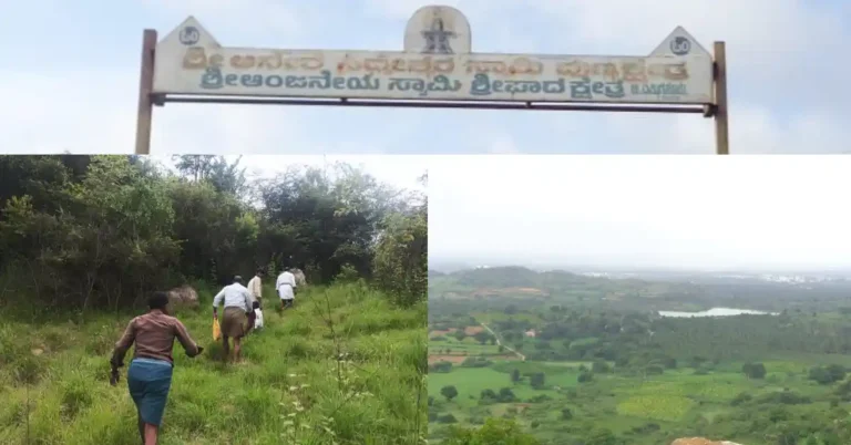 ನಮ್ಮ ಊರು ನಮ್ಮ ಹೆಮ್ಮೆ | ಹಸಿರಿನ ಹೊದಿಕೆಯೊಳಗೆ ಕಂಗೊಳಿಸುವ ಜೇನುಕಲ್ಲುಗವಿ ಹಾಗೂ ಕರಡಿಗುಡ್ಡ