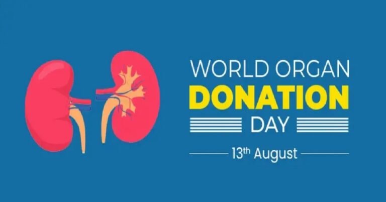 ವಿಶ್ವ ಅಂಗದಾನ ದಿನ 2026: ಕಿಡ್ನಿಯಿಂದ ಹೃದಯದವರೆಗೆ.. ಮನುಷ್ಯನ ಯಾವ ಅಂಗಗಳನ್ನು ದಾನ ಮಾಡಬಹುದು?
