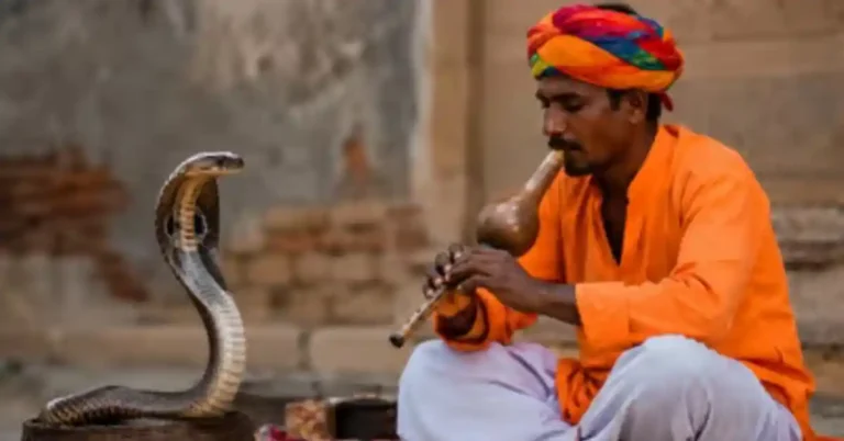 ನಾಗಸ್ವರ ಕೇಳಿ ಹಾವು ಕುಣಿಯುತ್ತದೆಯೇ? ವರ್ಷಗಳಿಂದ ನಂಬಿದ್ದ ನಂಬಿಕೆಯ ಹಿಂದಿದೆ ಅಚ್ಚರಿಯ ವೈಜ್ಞಾನಿಕ ಸತ್ಯ!