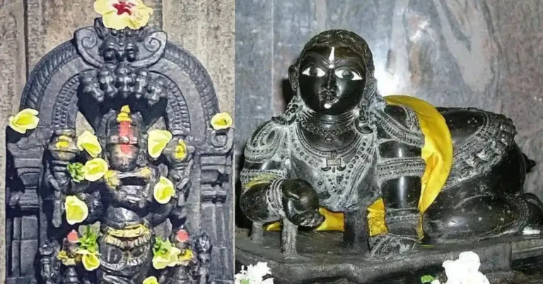 ಕೃಷ್ಣನ ದರ್ಶನ: ಕರ್ನಾಟಕದ ಅಪರೂಪದ ಶ್ರೀಕೃಷ್ಣ ದೇಗುಲಗಳಿವು!